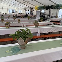 Sommerfest 2025